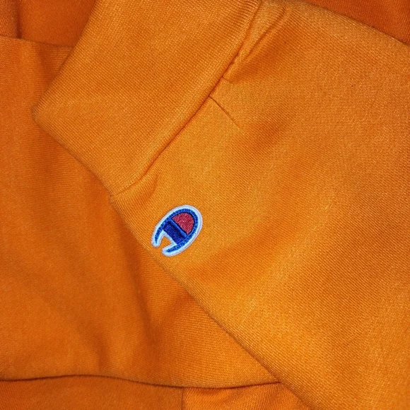 Champion Sweatshirt New With Tags . Size Large - Picture 3 of 4